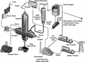 gascoal6